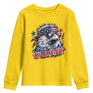 Funny 4th Of July WTF Is A Kilometer Youth Sweatshirt Vintage USA Meme Patriotic Eagle Humor Independence Day