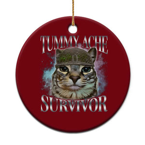 Tummy Ache Survivor Cat Meme Ceramic Ornament Vintage 90s Graphic Funny Stomach Issues Bootleg TS10 1pc Red Print Your Wear