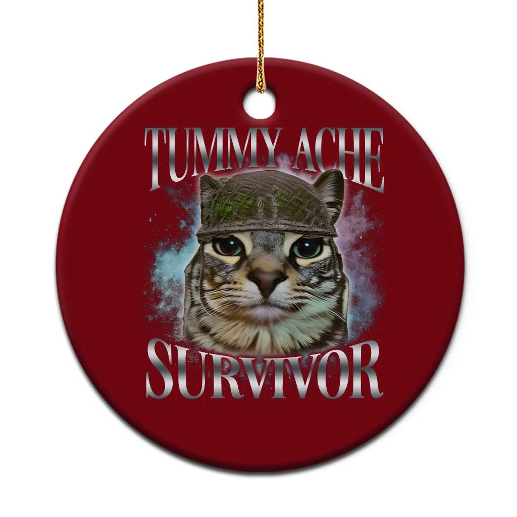 Tummy Ache Survivor Cat Meme Ceramic Ornament Vintage 90s Graphic Funny Stomach Issues Bootleg TS10 1pc Red Print Your Wear
