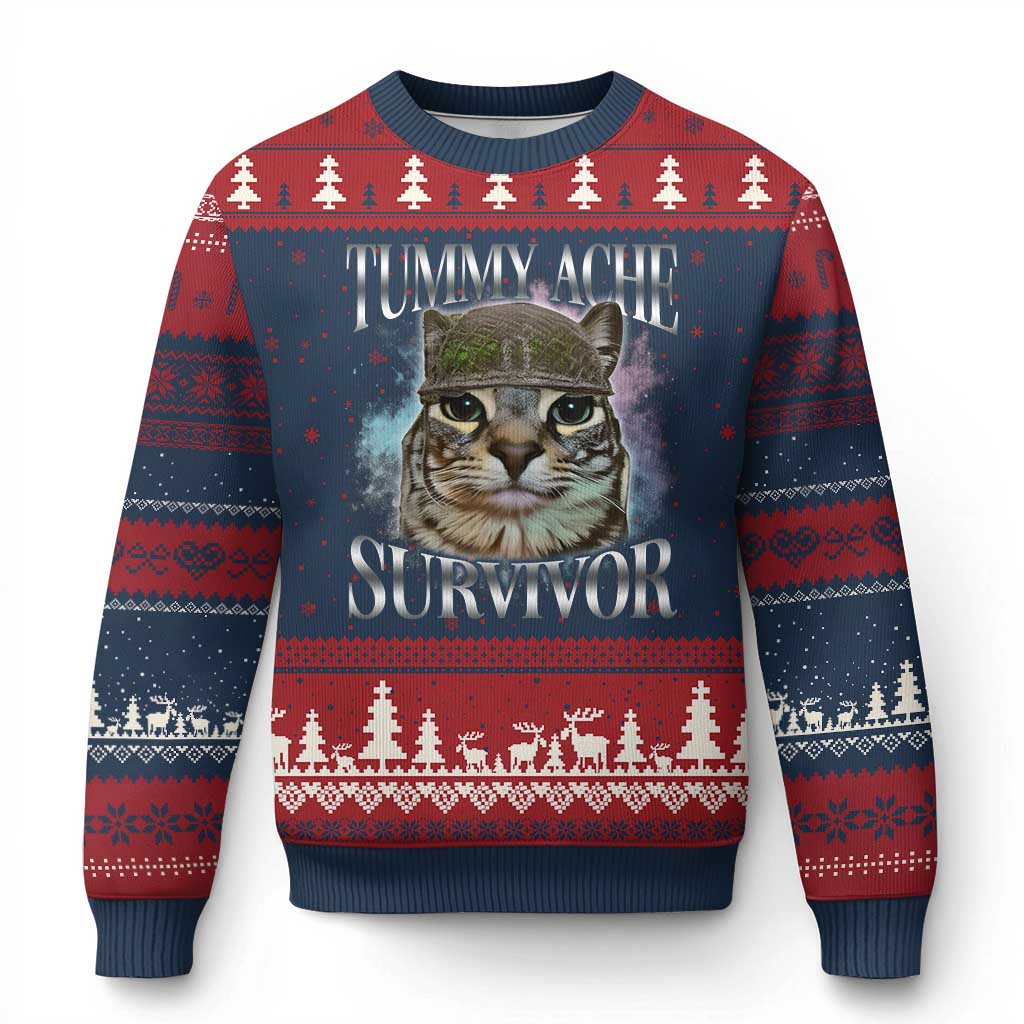 Tummy Ache Survivor Cat Meme Ugly Christmas Sweater Vintage 90s Graphic Funny Stomach Issues Bootleg TS10 Navy Red Print Your Wear