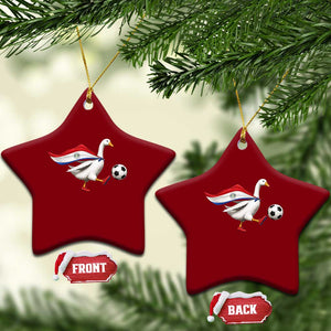 Funny Paraguay Soccer Ceramic Ornament Goose Wearing Paraguayan Flag Patriotic Football Fan Graphic TS10 Print Your Wear