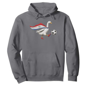Funny Paraguay Soccer Hoodie Goose Wearing Paraguayan Flag Patriotic Football Fan Graphic TS10 Charcoal Print Your Wear