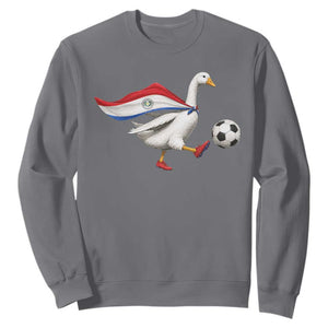 Funny Paraguay Soccer Sweatshirt Goose Wearing Paraguayan Flag Patriotic Football Fan Graphic TS10 Charcoal Print Your Wear