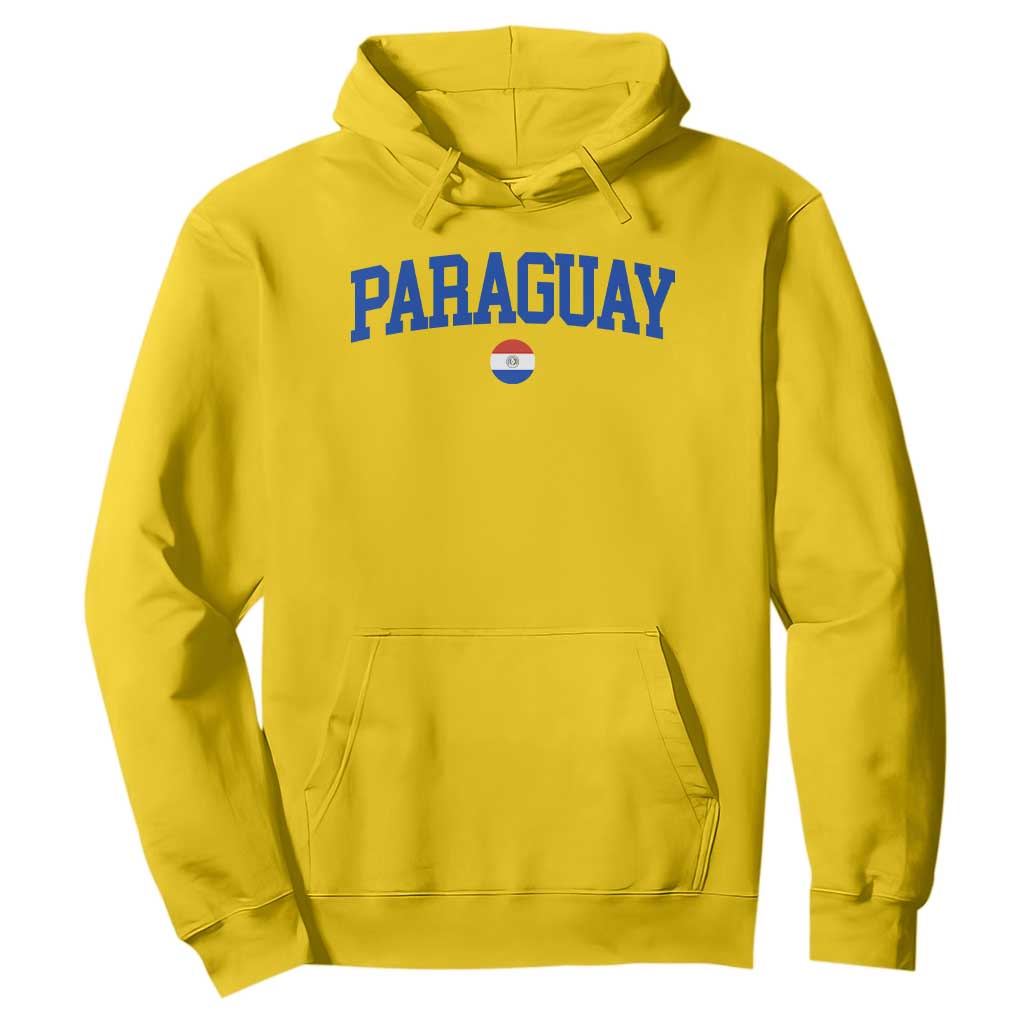 Paraguay Patriotic Flag Hoodie Soccer Fan Vintage Varsity Sports National Pride Graphic TS10 Daisy Print Your Wear