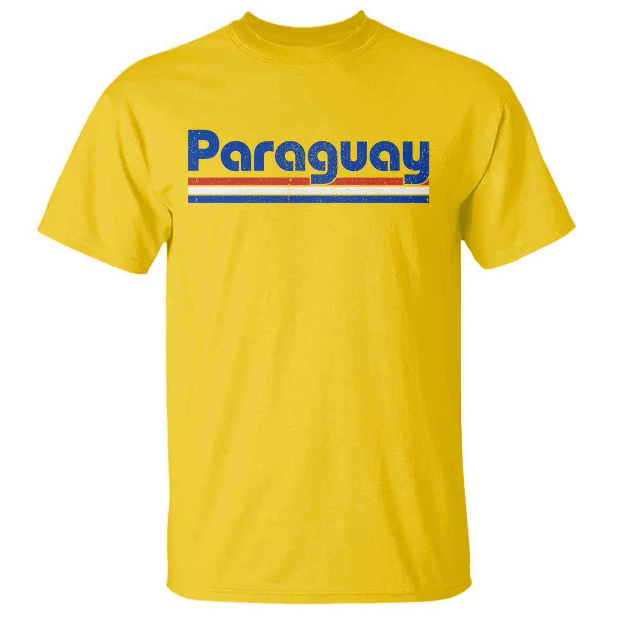 Vintage Paraguay Flag T Shirt Retro Stripe Patriotic Paraguayan Pride Graphic TS10 Daisy Print Your Wear