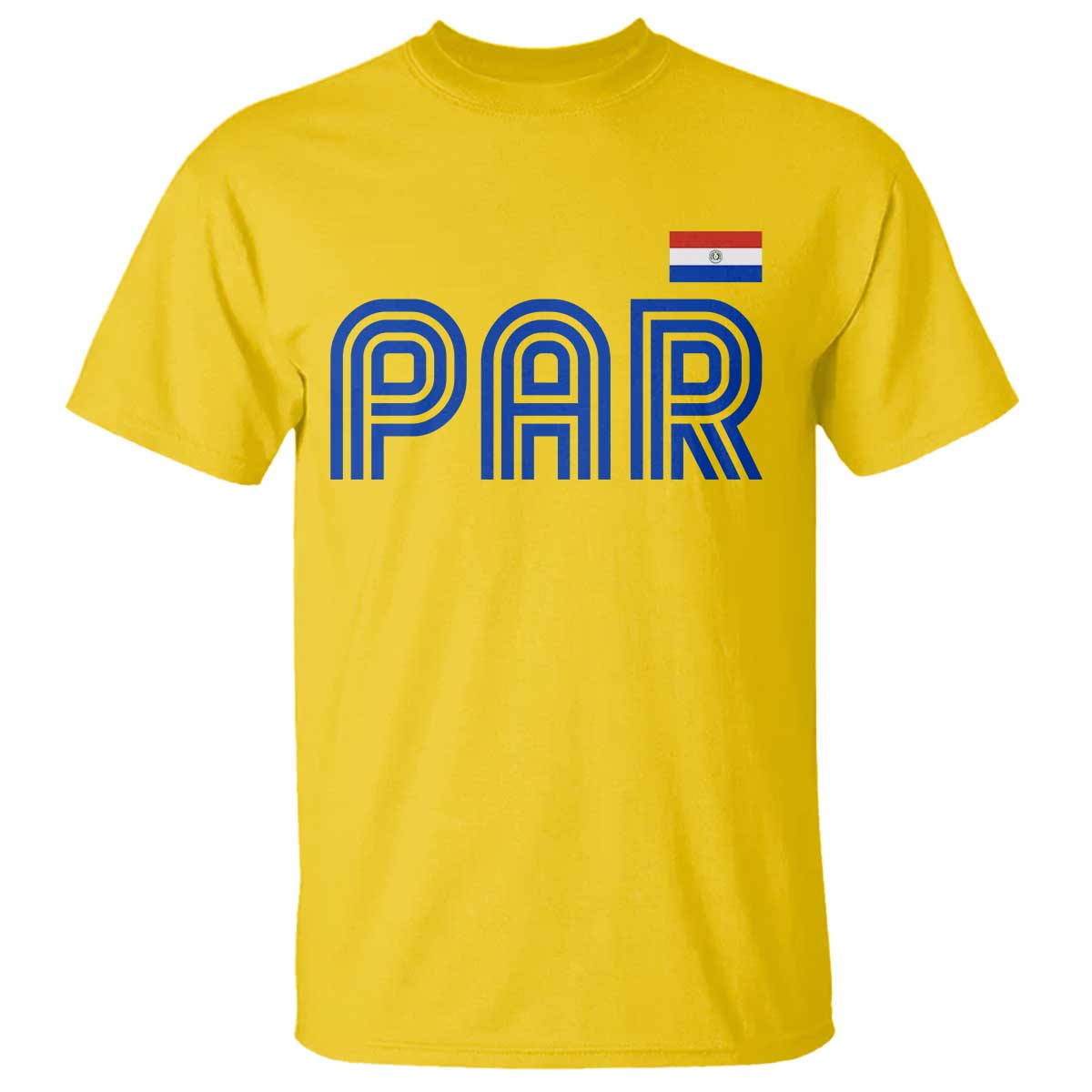 Vintage Paraguay T Shirt Retro Typography Patriotic Paraguayan Pride Flag Graphic TS10 Daisy Print Your Wear