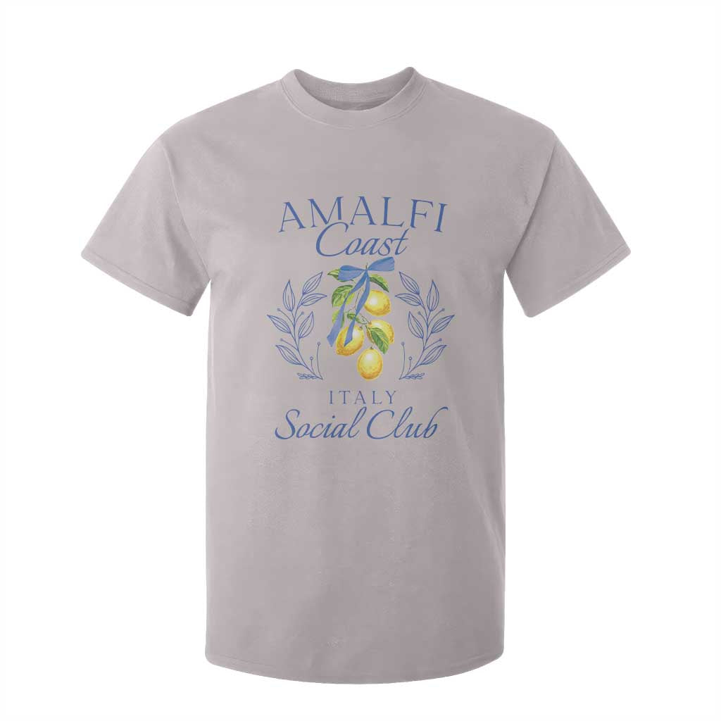 Amalfi Coast T Shirt For Kid Sorrento Italy Vacation Gift TS10 Ice Gray Print Your Wear