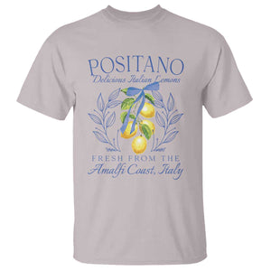 Positano Italy T Shirt Amalfi Coast Italian Lemons Town Italy Vacation TS10 Ice Gray Print Your Wear
