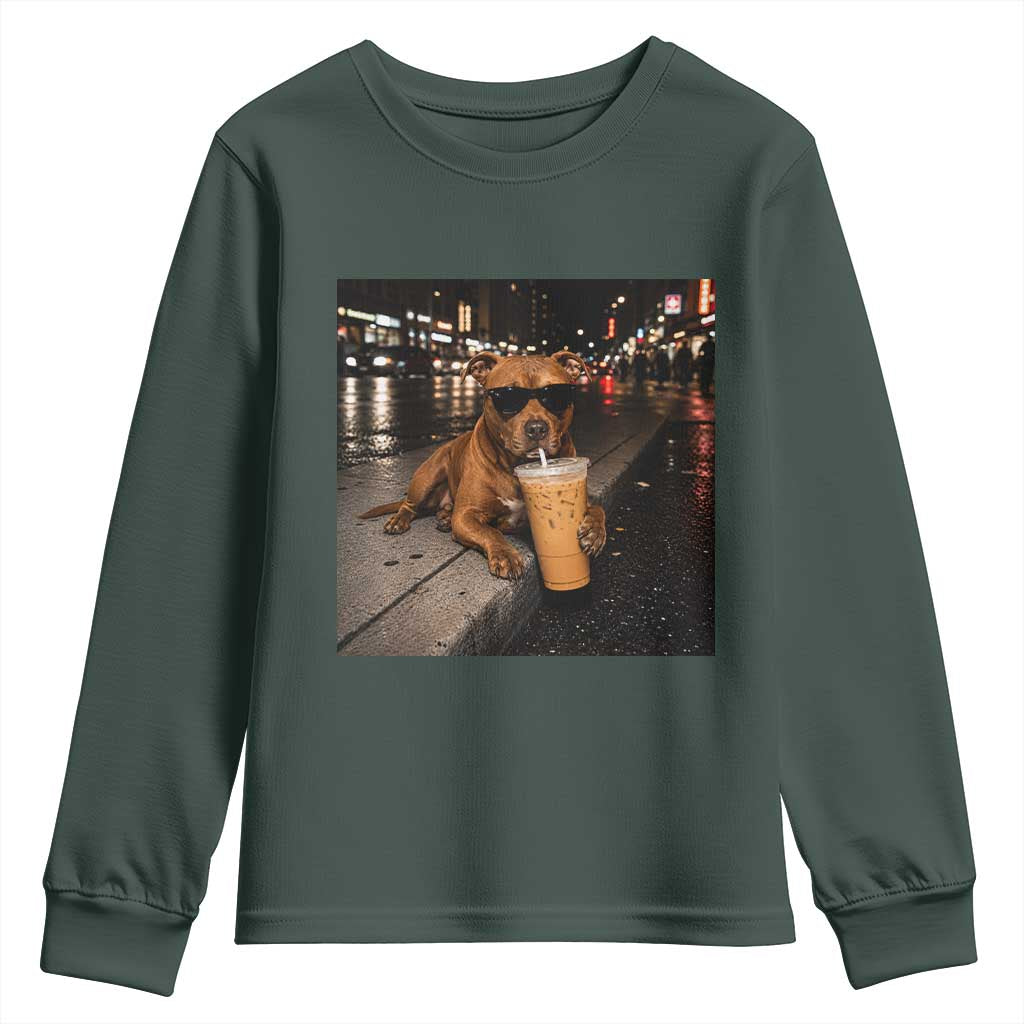 Funny Pitbull Drinking Iced Coffee Youth Sweatshirt Vintage Pittie Dog Lovers Meme