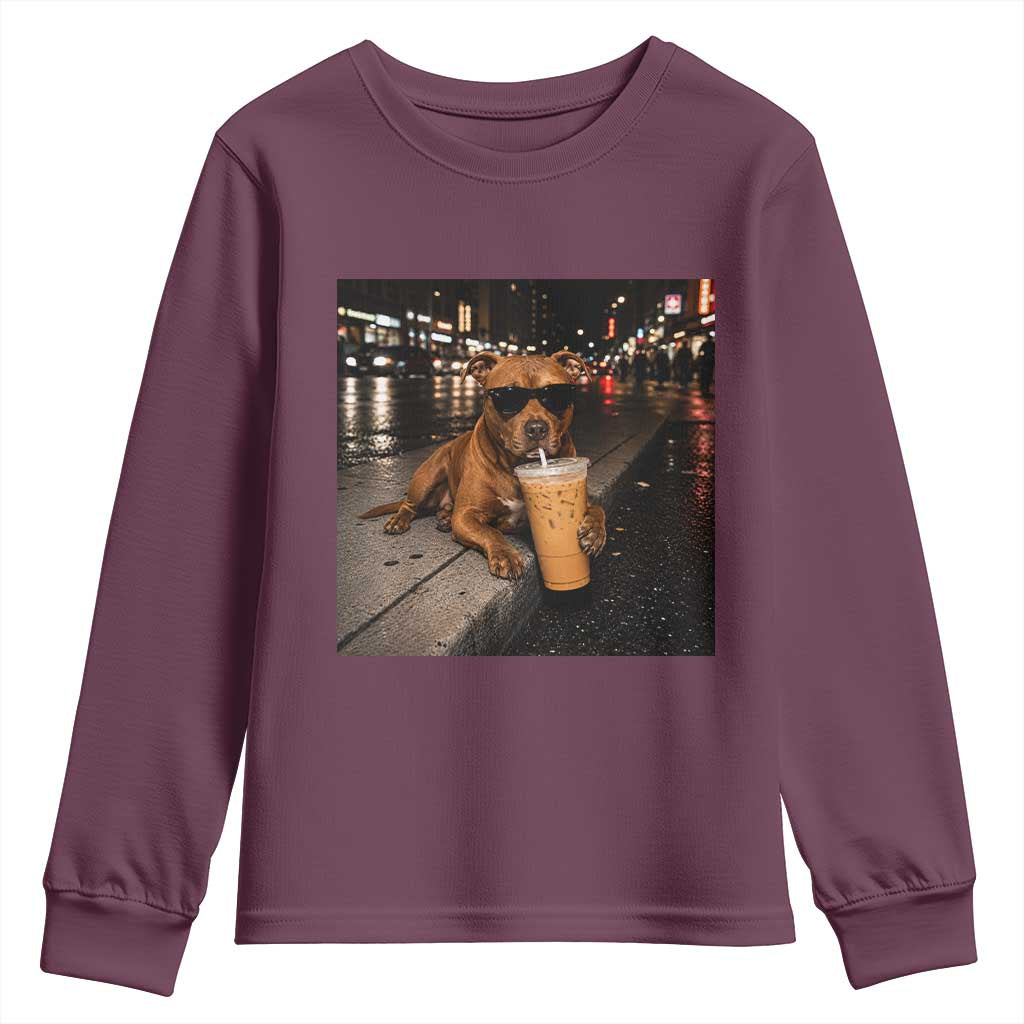 Funny Pitbull Drinking Iced Coffee Youth Sweatshirt Vintage Pittie Dog Lovers Meme