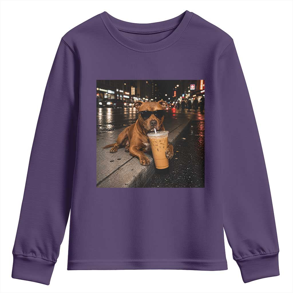 Funny Pitbull Drinking Iced Coffee Youth Sweatshirt Vintage Pittie Dog Lovers Meme