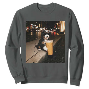 Bernedoodle Dog Drinking Iced Coffee Sweatshirt Funny Coffee Lover Gift for Dog Moms Dads TS10 Dark Heather Print Your Wear