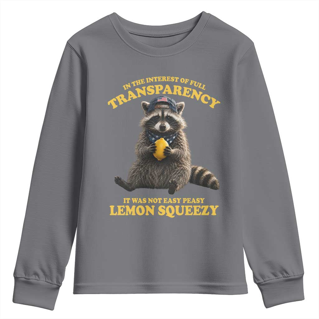 Funny Raccoon Meme Youth Sweatshirt In The Interest Of Full Transparency It Was Not Easy Peasy Lemon Squeezy