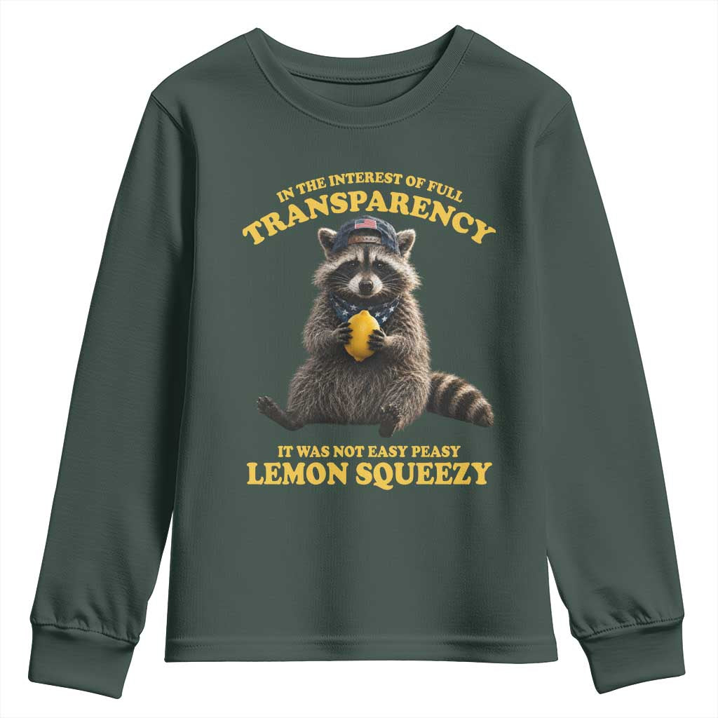 Funny Raccoon Meme Youth Sweatshirt In The Interest Of Full Transparency It Was Not Easy Peasy Lemon Squeezy
