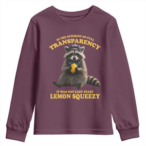 Funny Raccoon Meme Youth Sweatshirt In The Interest Of Full Transparency It Was Not Easy Peasy Lemon Squeezy