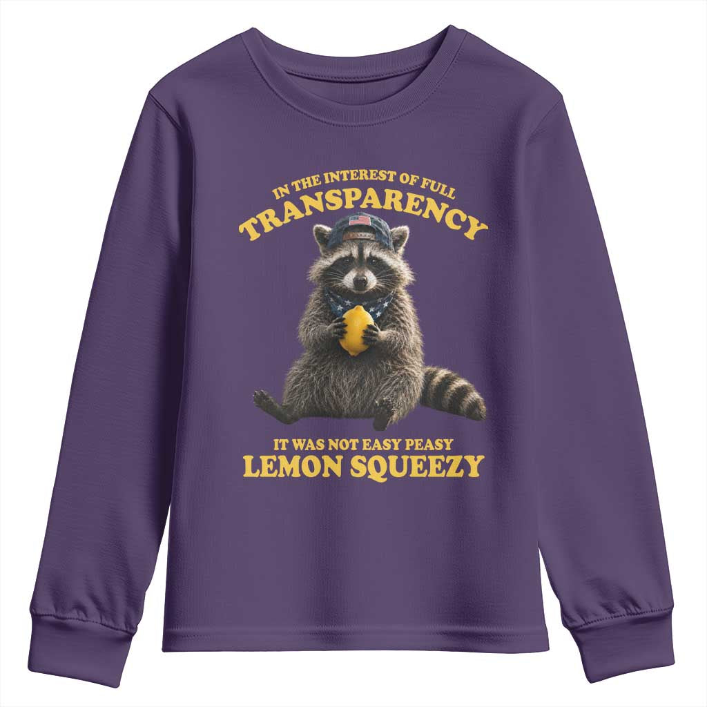 Funny Raccoon Meme Youth Sweatshirt In The Interest Of Full Transparency It Was Not Easy Peasy Lemon Squeezy