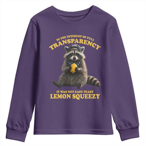 Funny Raccoon Meme Youth Sweatshirt In The Interest Of Full Transparency It Was Not Easy Peasy Lemon Squeezy
