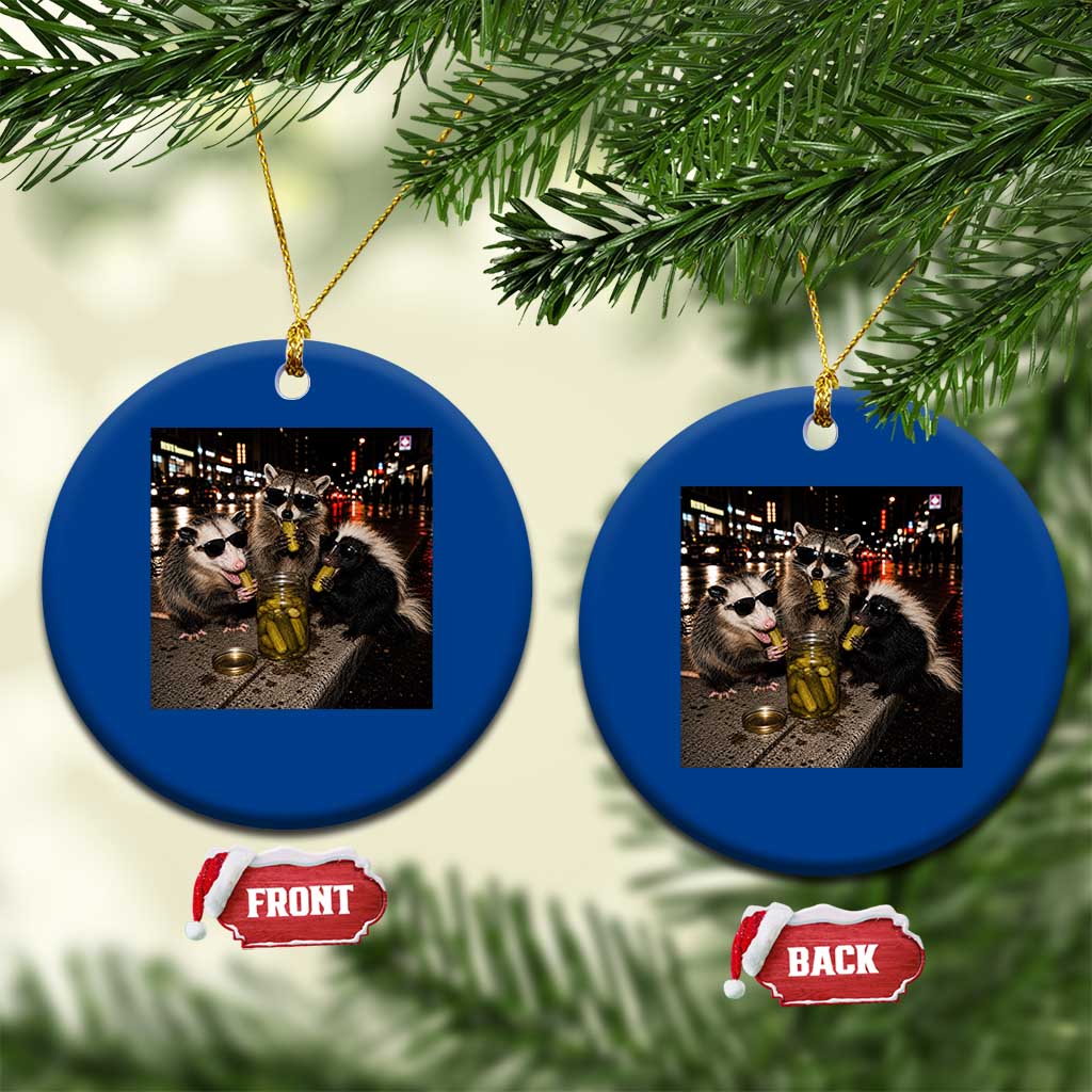 Funny Raccoon Skunk Possum Eating Pickles Ceramic Ornament Support Local Street Cats Retro Animal Meme