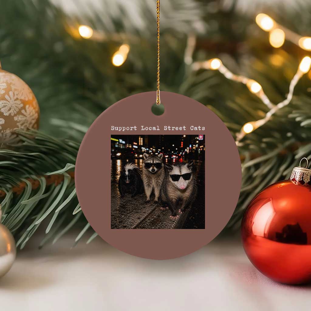 Support Local Street Cats Ceramic Ornament Funny Raccoon Skunk Possum Animal Meme TS10 1pc Mocha Print Your Wear