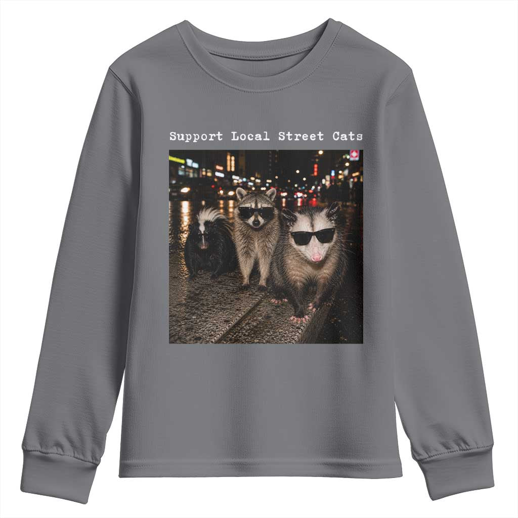 Support Local Street Cats Youth Sweatshirt Funny Raccoon Skunk Possum Animal Meme