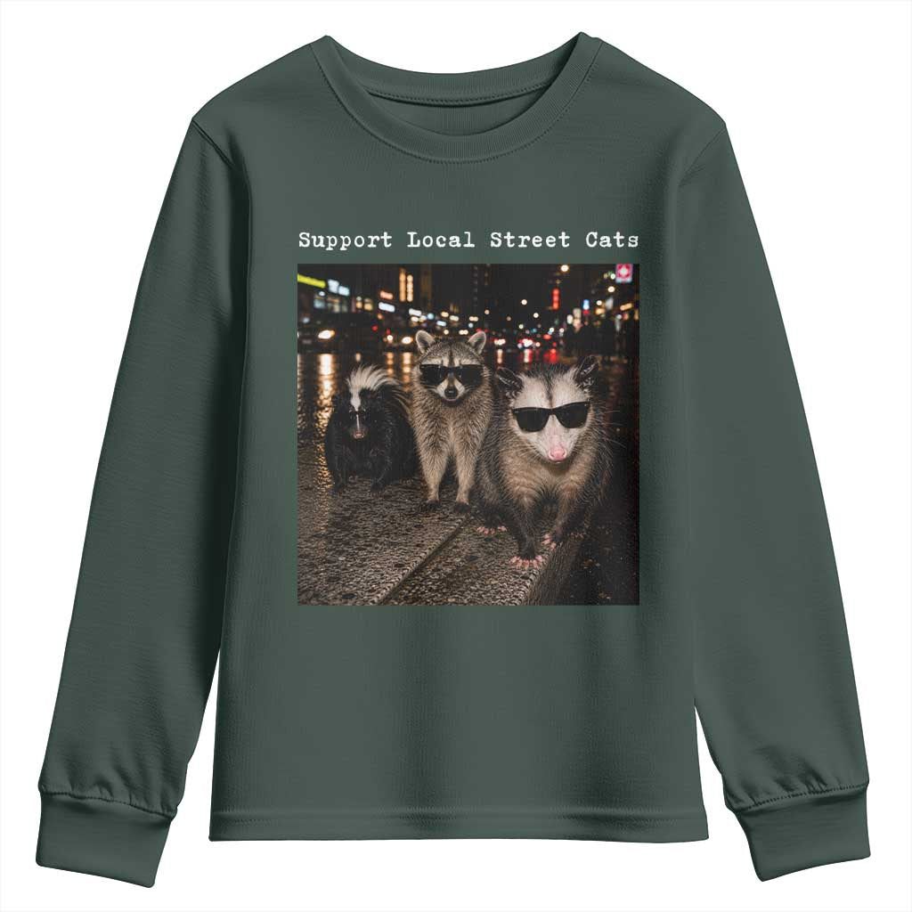 Support Local Street Cats Youth Sweatshirt Funny Raccoon Skunk Possum Animal Meme