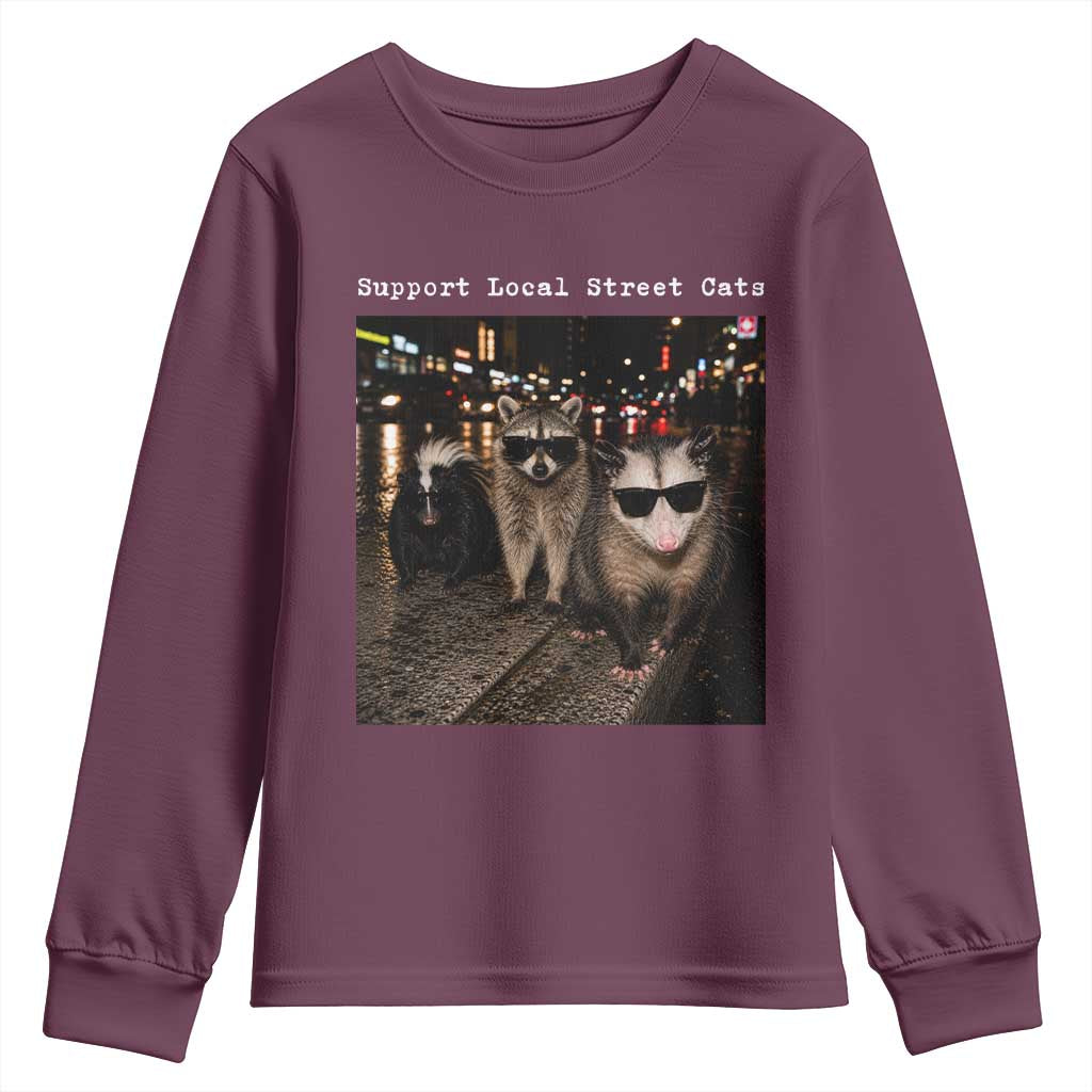 Support Local Street Cats Youth Sweatshirt Funny Raccoon Skunk Possum Animal Meme