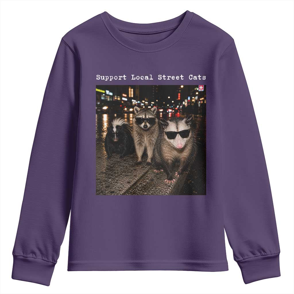 Support Local Street Cats Youth Sweatshirt Funny Raccoon Skunk Possum Animal Meme
