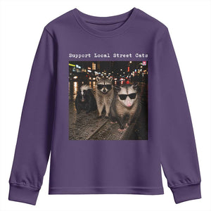 Support Local Street Cats Youth Sweatshirt Funny Raccoon Skunk Possum Animal Meme