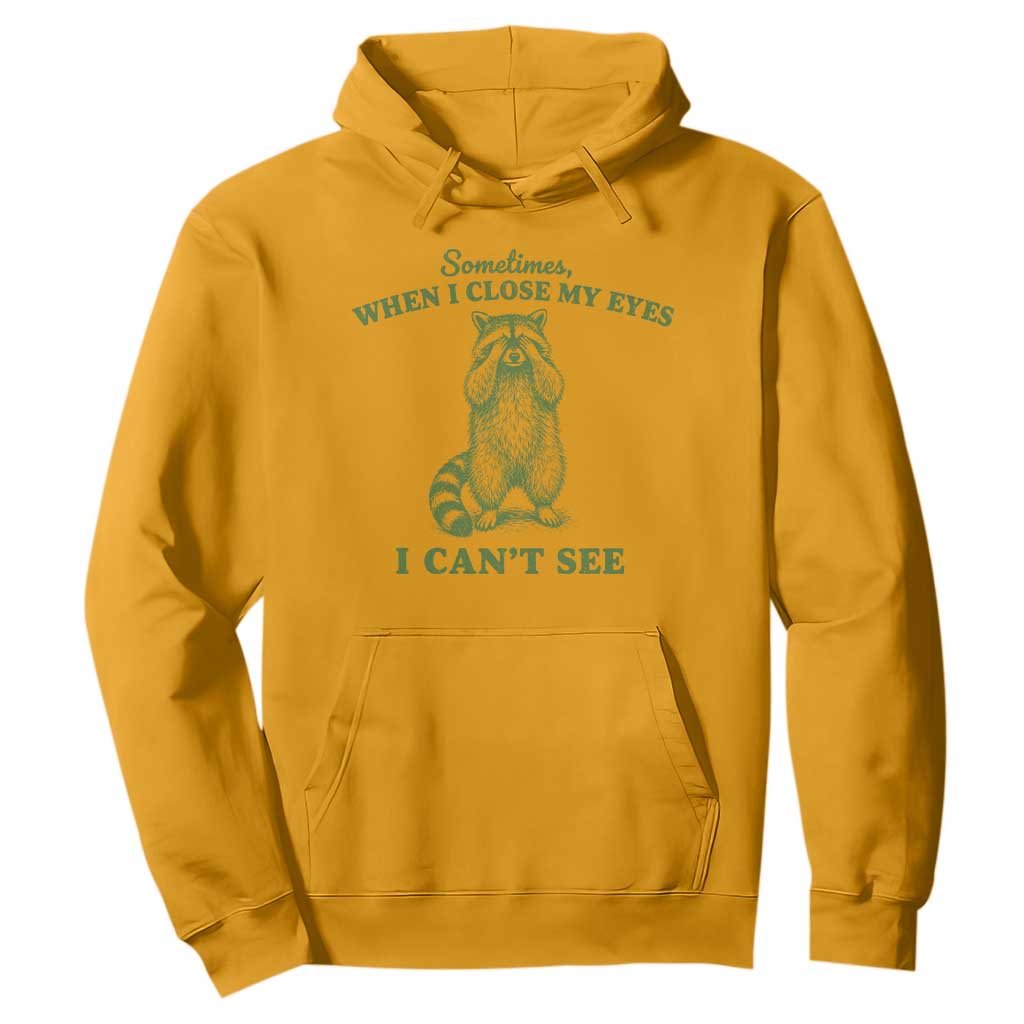 Funny Raccoon Meme Hoodie Sometimes When I Close My Eyes I Cant See Vintage Trash Panda