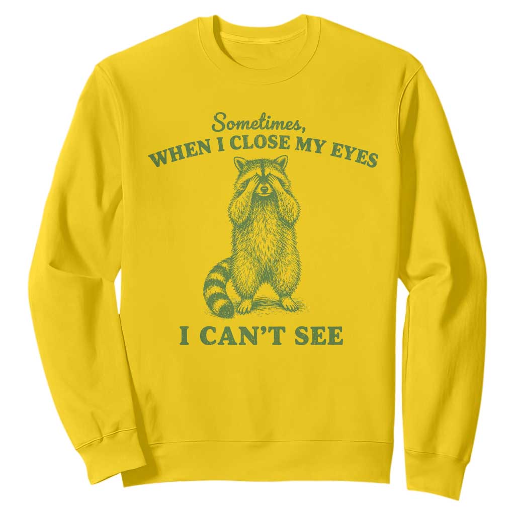 Funny Raccoon Meme Sweatshirt Sometimes When I Close My Eyes I Cant See Vintage Trash Panda