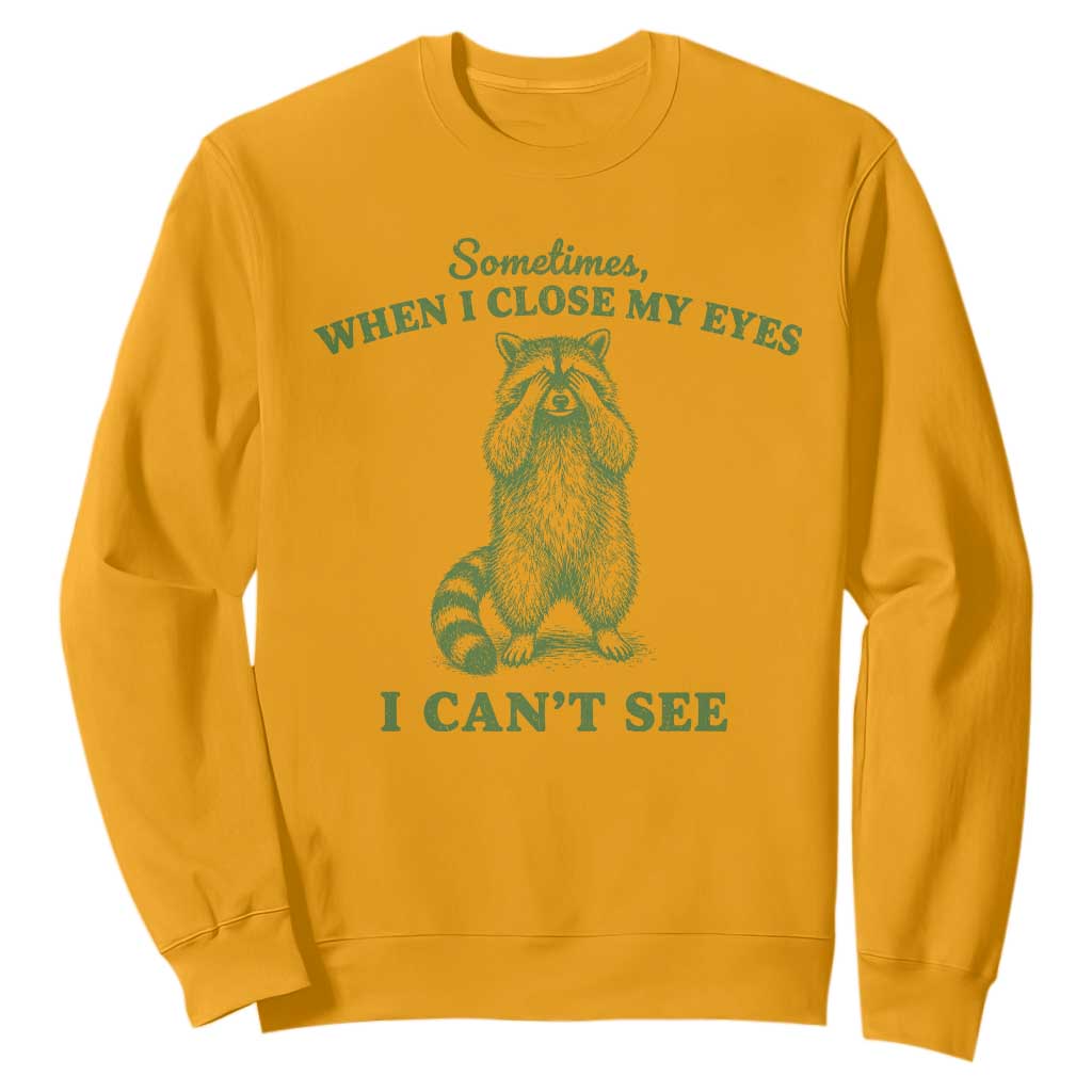 Funny Raccoon Meme Sweatshirt Sometimes When I Close My Eyes I Cant See Vintage Trash Panda