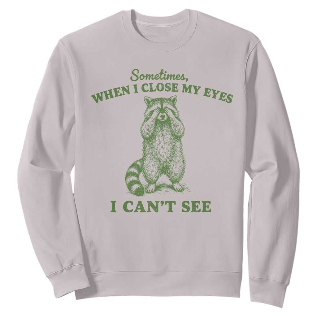 Funny Raccoon Meme Sweatshirt Sometimes When I Close My Eyes I Cant See Vintage Trash Panda