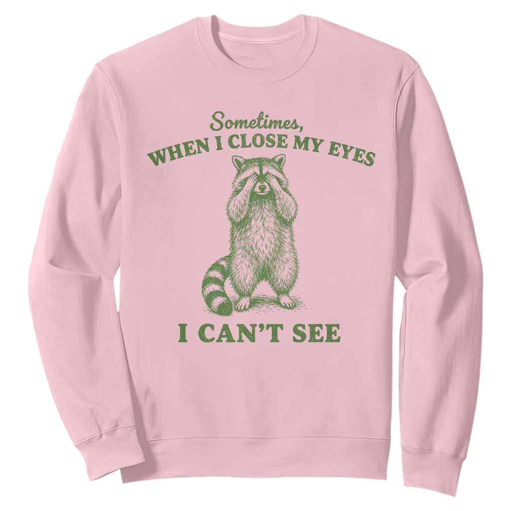 Funny Raccoon Meme Sweatshirt Sometimes When I Close My Eyes I Cant See Vintage Trash Panda