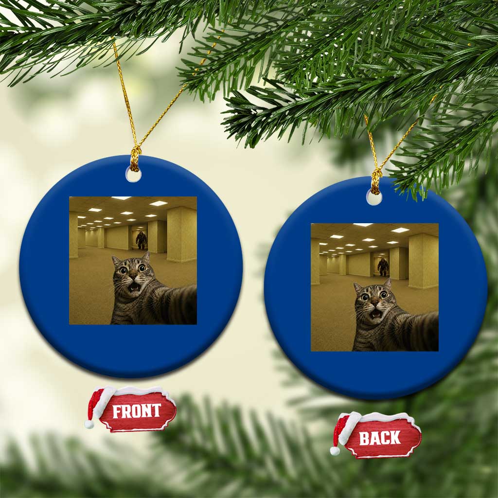 Funny Cat Selfie with Bigfoot Sasquatch Backrooms Liminal Space Meme Ceramic Ornament TS10 1pc Blue Print Your Wear