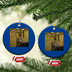 Funny Cat Selfie with Bigfoot Sasquatch Backrooms Liminal Space Meme Ceramic Ornament TS10 1pc Blue Print Your Wear