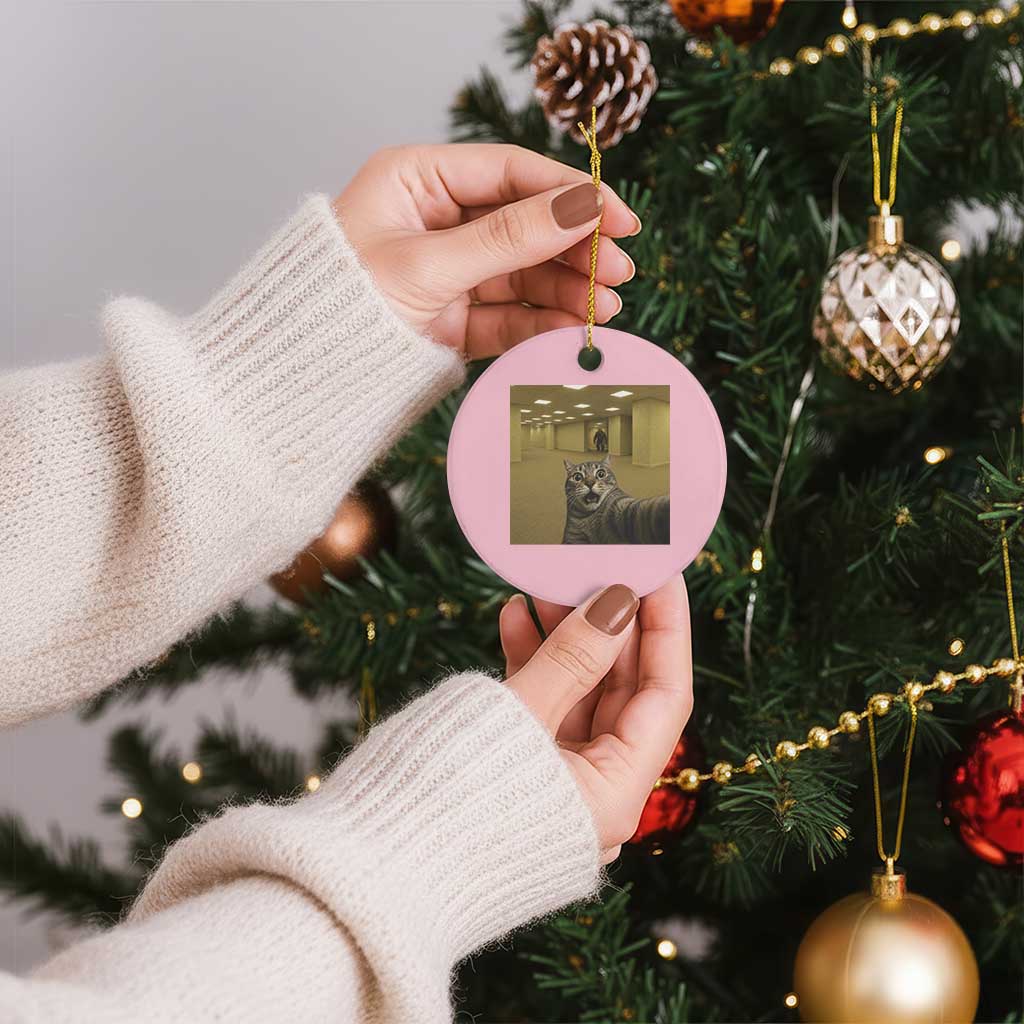 Funny Cat Selfie with Bigfoot Sasquatch Backrooms Liminal Space Meme Ceramic Ornament TS10 1pc Light Pink Print Your Wear