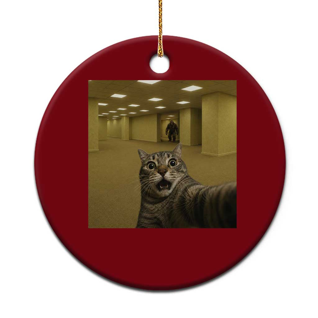 Funny Cat Selfie with Bigfoot Sasquatch Backrooms Liminal Space Meme Ceramic Ornament TS10 1pc Red Print Your Wear