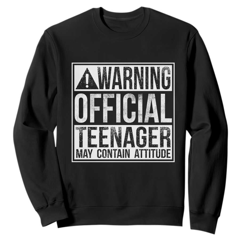 13th Birthday Sweatshirt Warning Official Teenager Boy 13yr TS10 Black Print Your Wear