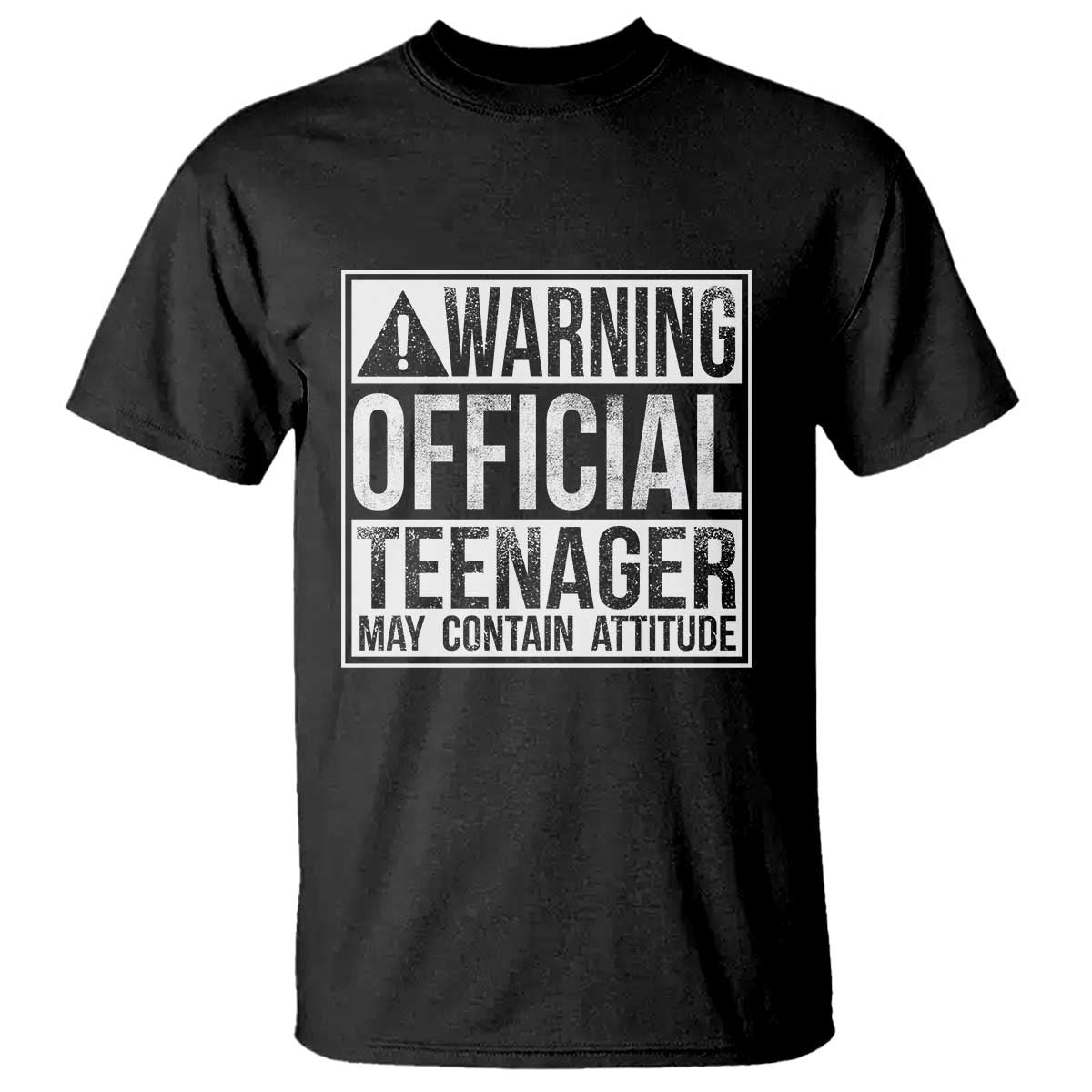 13th Birthday T Shirt Warning Official Teenager Boy 13yr TS10 Black Print Your Wear