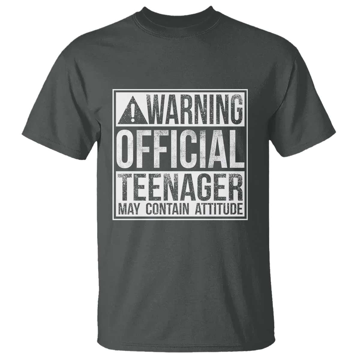 13th Birthday T Shirt Warning Official Teenager Boy 13yr TS10 Dark Heather Print Your Wear
