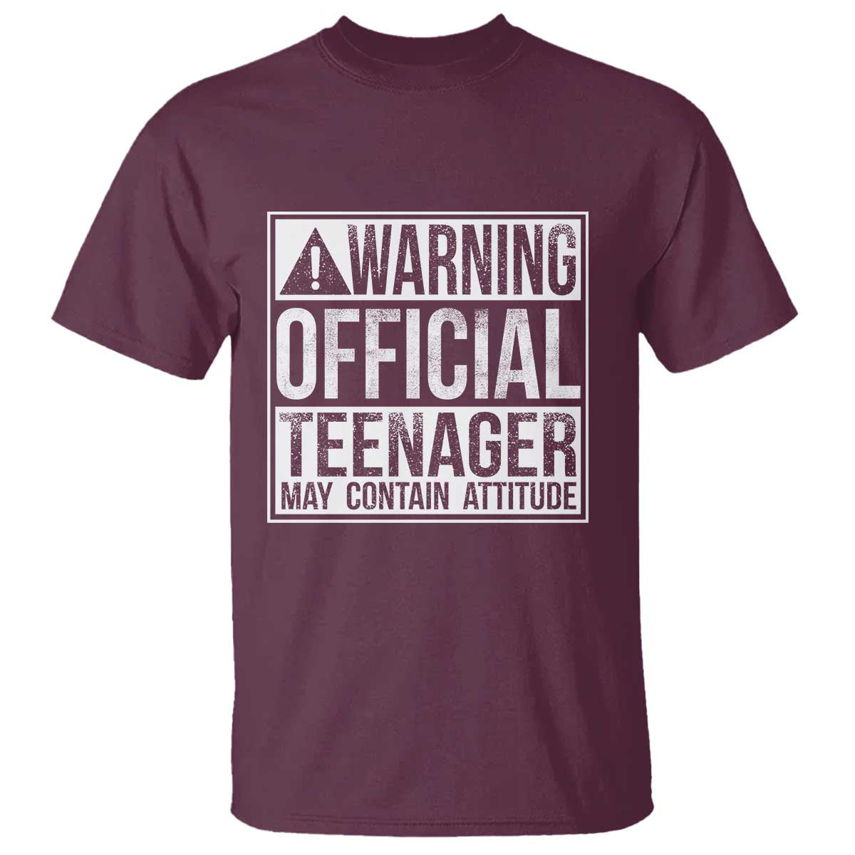 13th Birthday T Shirt Warning Official Teenager Boy 13yr TS10 Maroon Print Your Wear