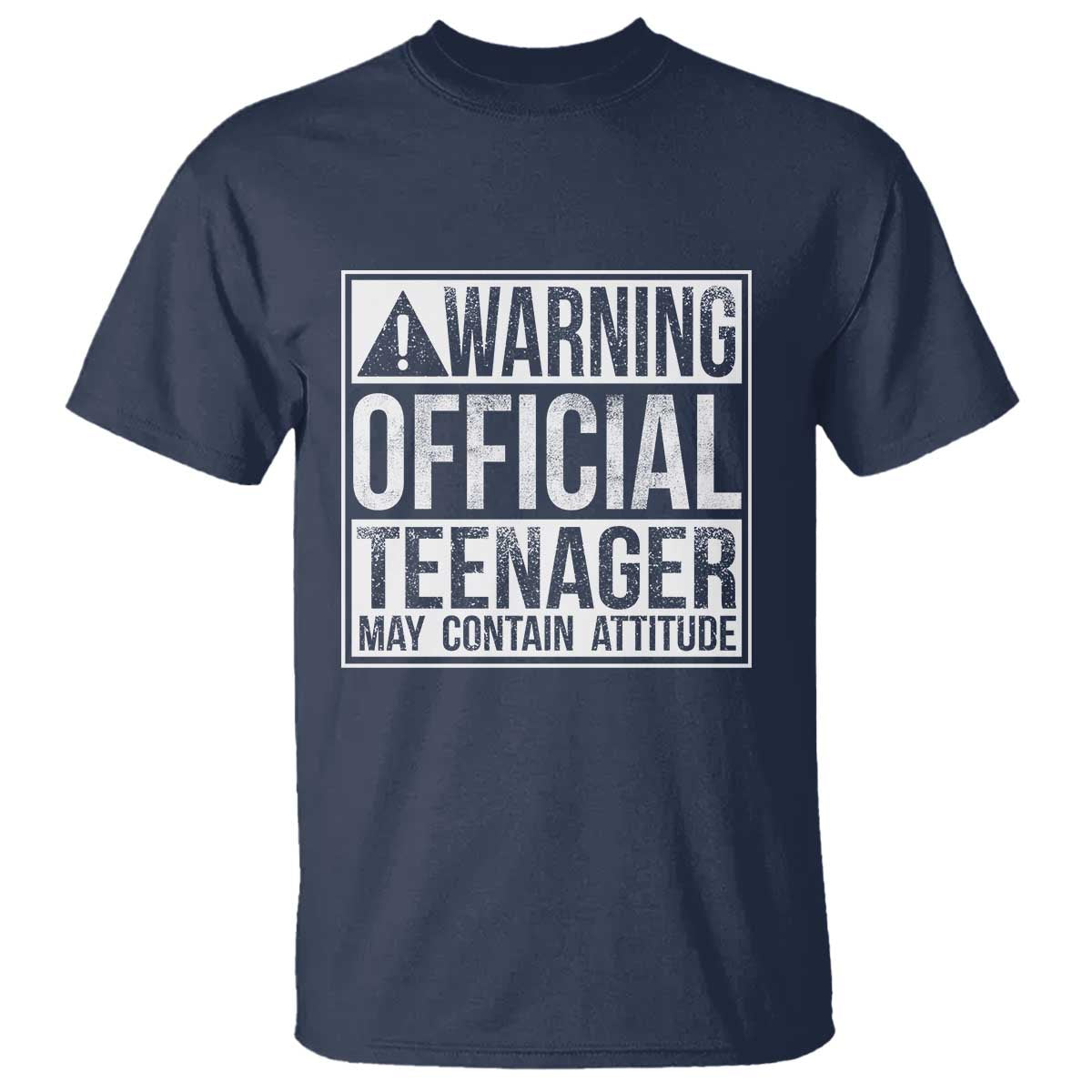 13th Birthday T Shirt Warning Official Teenager Boy 13yr TS10 Navy Print Your Wear