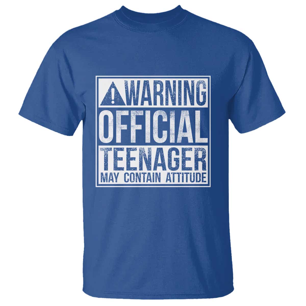 13th Birthday T Shirt Warning Official Teenager Boy 13yr TS10 Royal Blue Print Your Wear