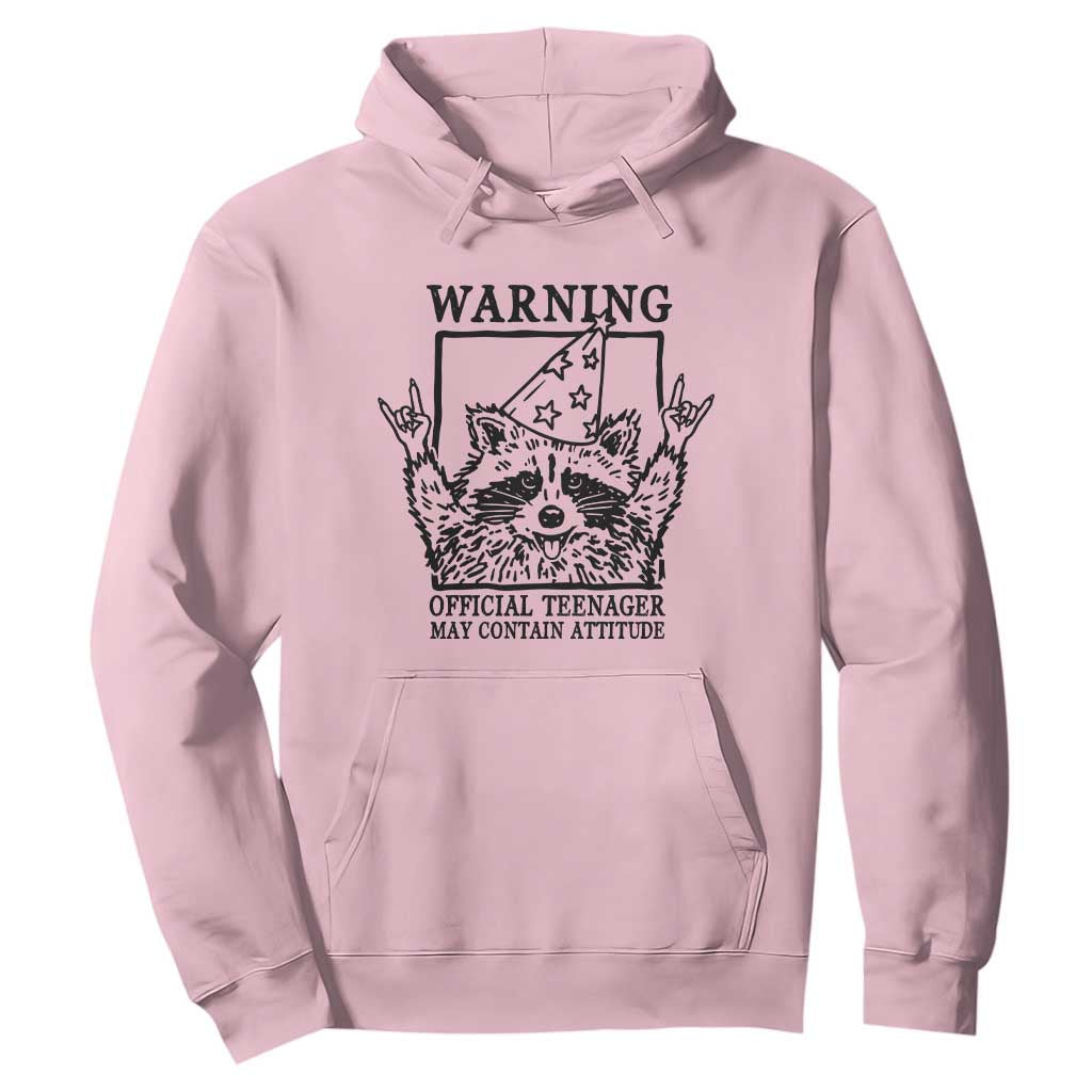 Vintage Raccoon 13th Birthday Hoodie 13 Year Old Official Teenager Gifts TS10 Light Pink Print Your Wear