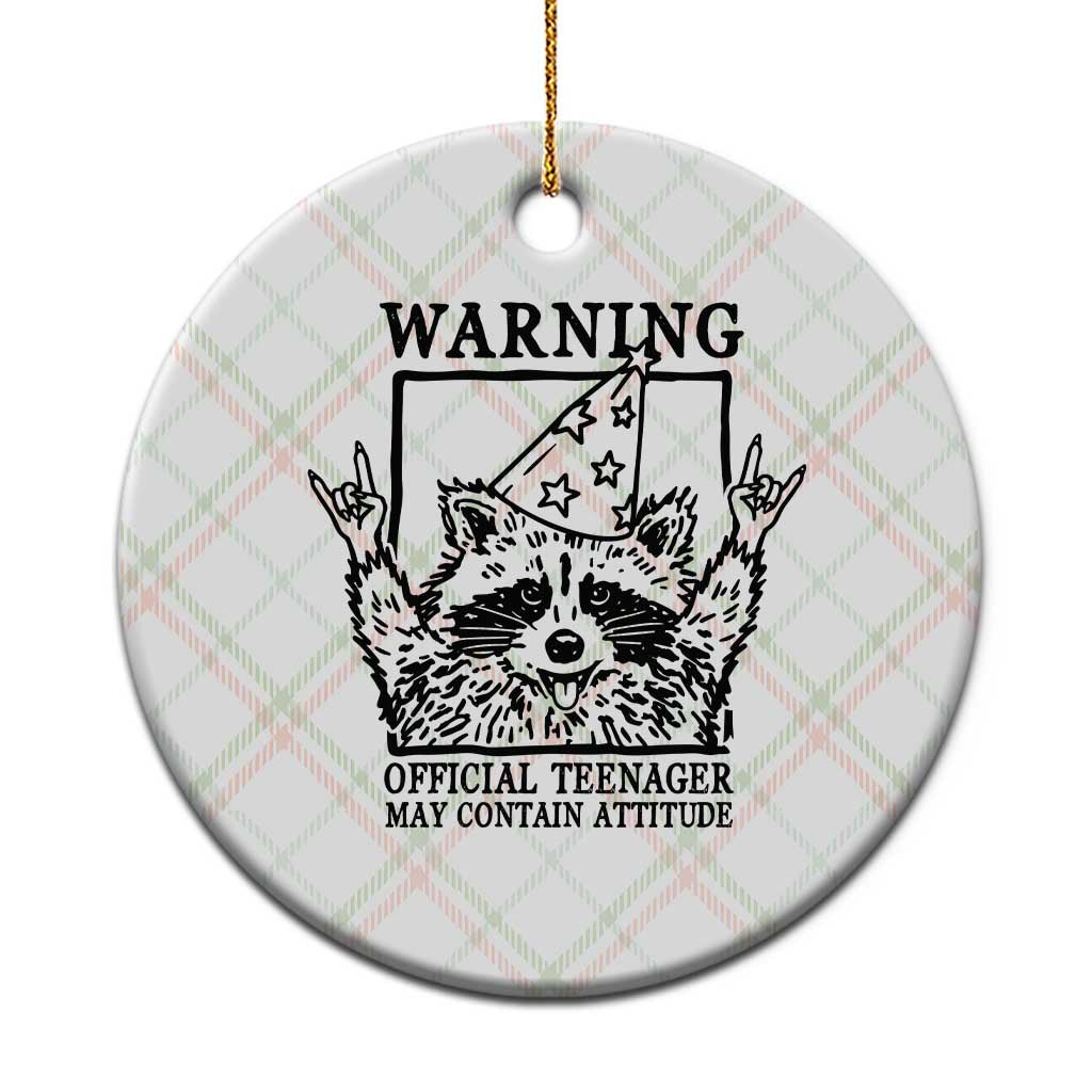 Vintage Raccoon 13th Birthday Ceramic Ornament 13 Year Old Official Teenager Gifts TS10 1pc Christmas Plaid Print Your Wear