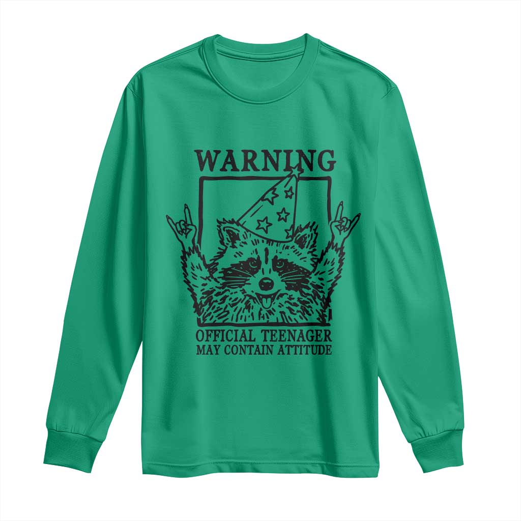 Vintage Raccoon 13th Birthday Long Sleeve Shirt 13 Year Old Official Teenager Gifts TS10 Irish Green Print Your Wear
