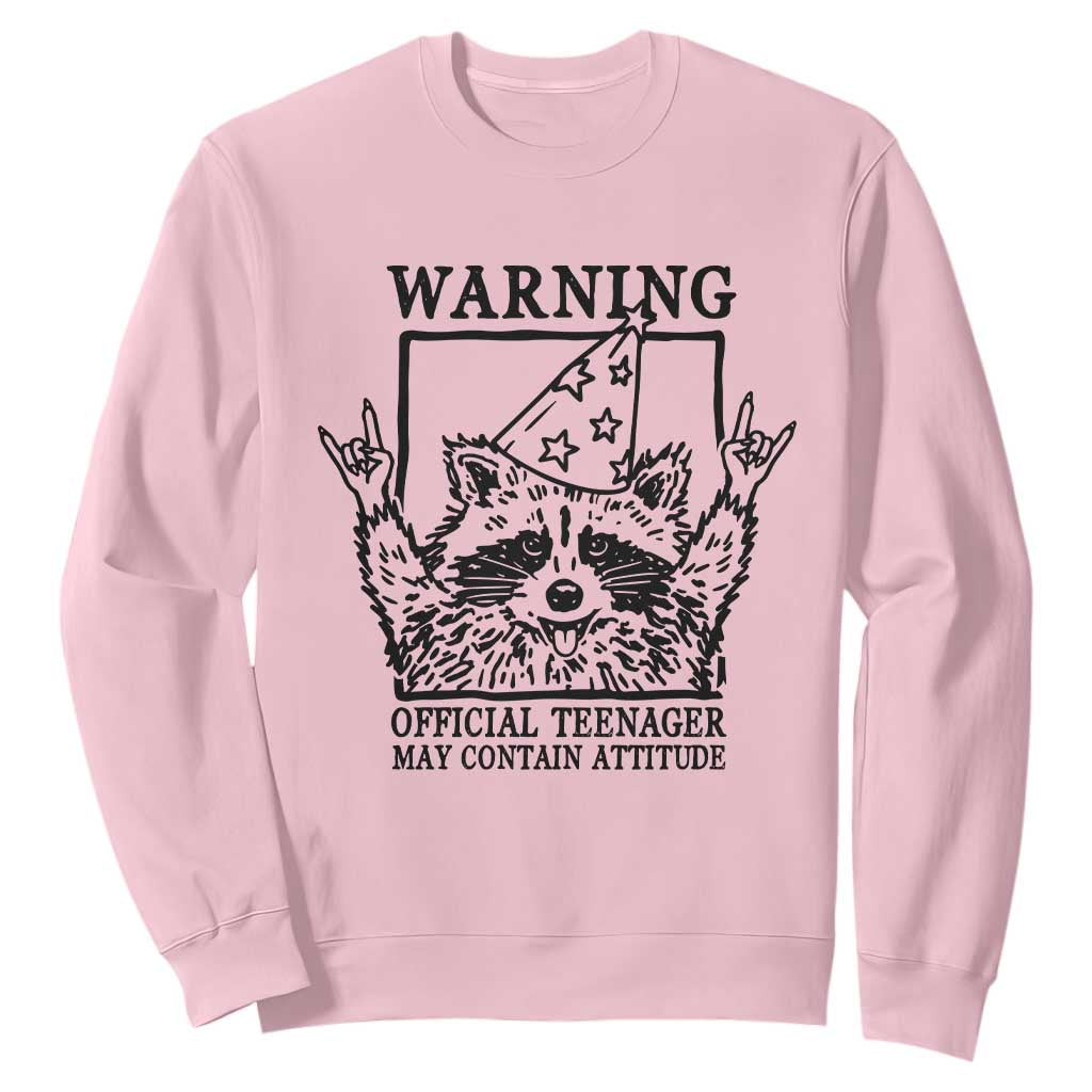Vintage Raccoon 13th Birthday Sweatshirt 13 Year Old Official Teenager Gifts TS10 Light Pink Print Your Wear
