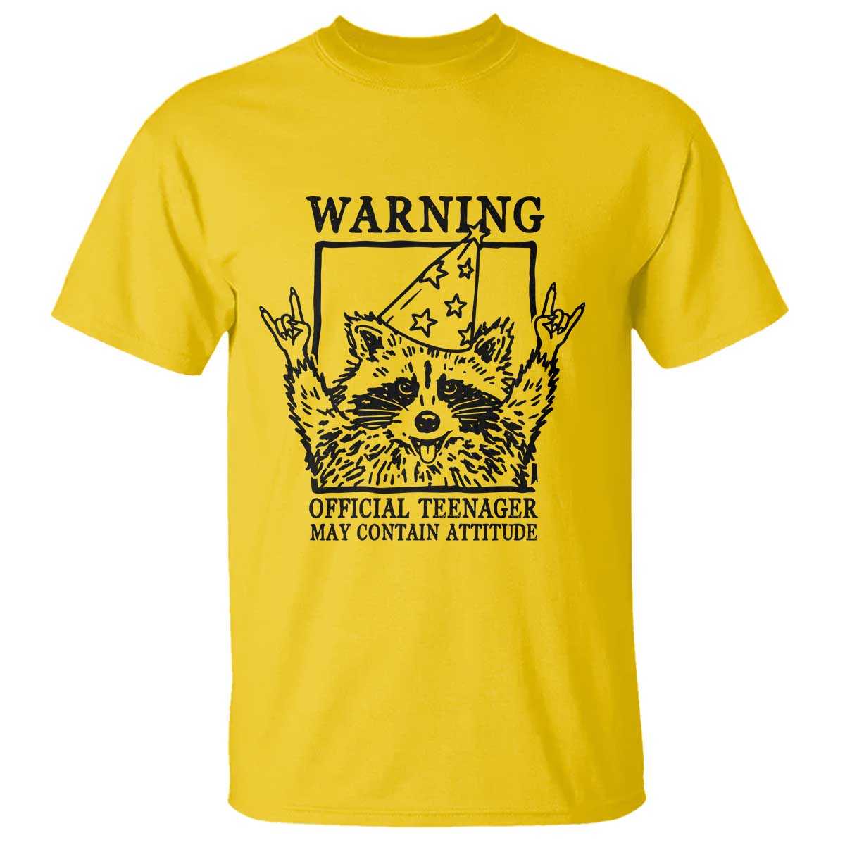 Vintage Raccoon 13th Birthday T Shirt 13 Year Old Official Teenager Gifts TS10 Daisy Print Your Wear