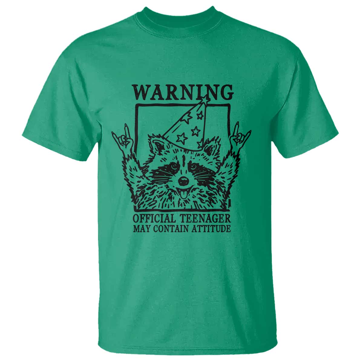 Vintage Raccoon 13th Birthday T Shirt 13 Year Old Official Teenager Gifts TS10 Irish Green Print Your Wear