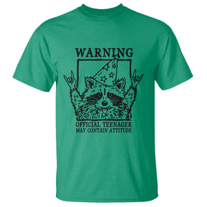 Vintage Raccoon 13th Birthday T Shirt 13 Year Old Official Teenager Gifts TS10 Irish Green Print Your Wear